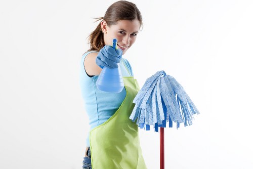 Professional carpet cleaning in a De Beauvoir Town living room