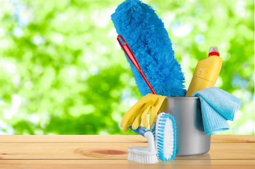 Cleaner checking a carpeted area for hazards before starting