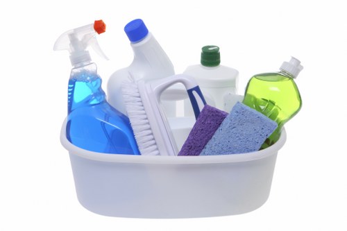 Deep cleaning carpet affected by pet stains and odour
