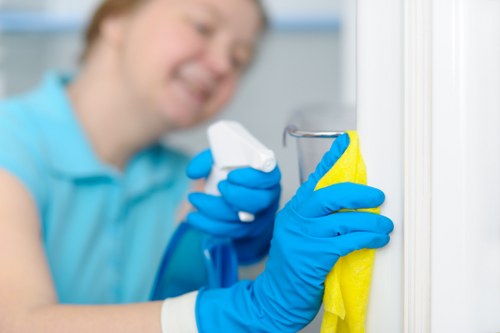 PCI-compliant payment security visual for carpet cleaning services