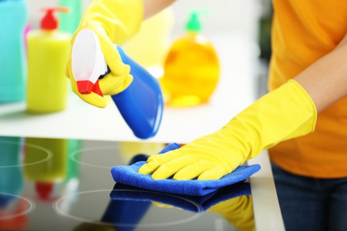 On-site and off-site curtain cleaning methods for De Beauvoir Town curtains
