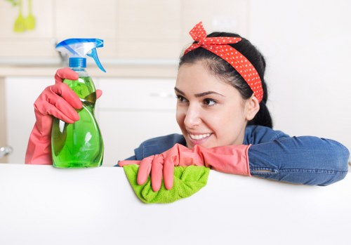 Clean carpet fibres after professional treatment