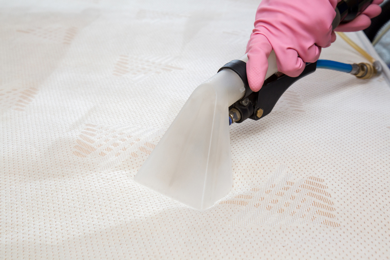carpet cleaning carpet cleaners